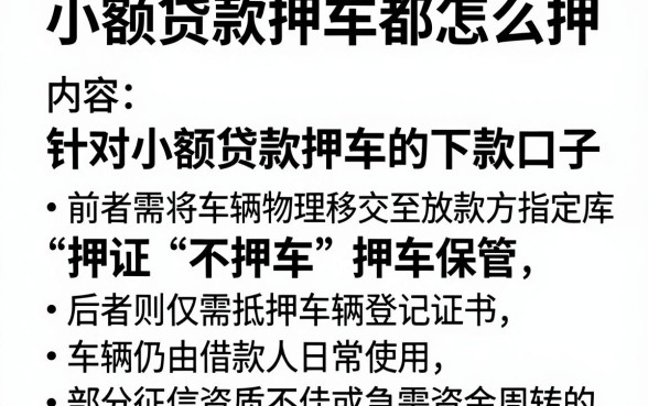 小额贷款押车都怎么押,归纳五个无视黑白户的下款口子