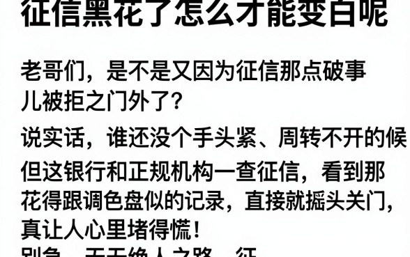 征信黑花了怎么才能变白呢,筛选5个高炮双黑逾期必下款软件