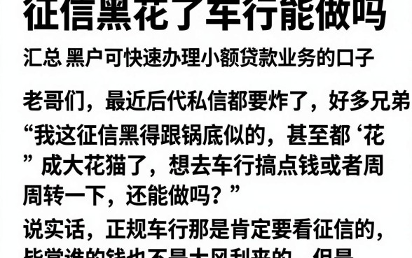 征信黑花了车行能做吗，汇总5个黑户可快速办理小额贷款业务的口子