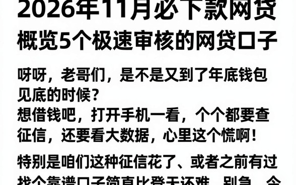 2026年11月必下款网贷,概览5个极速审核的网贷口子