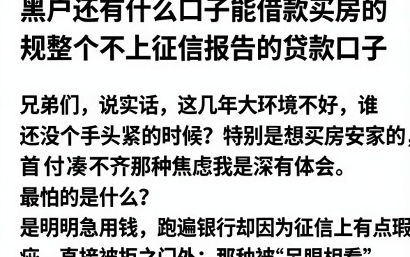 黑户还有什么口子能借款买房的,规整五个不上征信报告的贷款口子