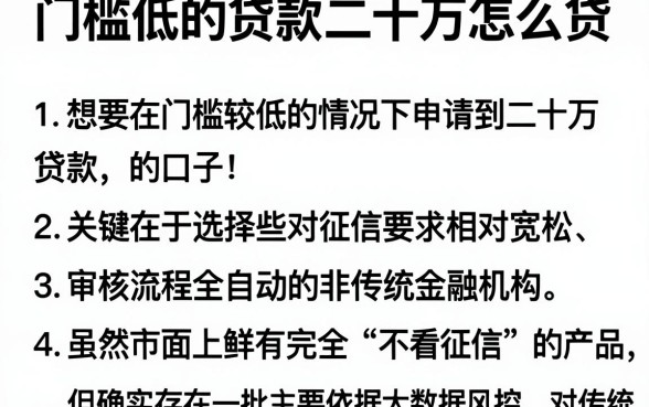 门槛低的贷款二十万怎么贷,枚举5个贷款不上诚信平台的口子
