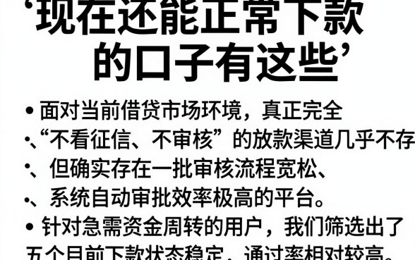 现在还能正常下款的口子有这些,理出5个可以借钱不用审核的app