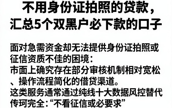 不用身份证拍照的贷款,汇总5个双黑户必下款的口子