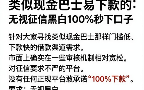 类似现金巴士易下款的简单口子，罗列五个无视征信黑白100%秒下口子