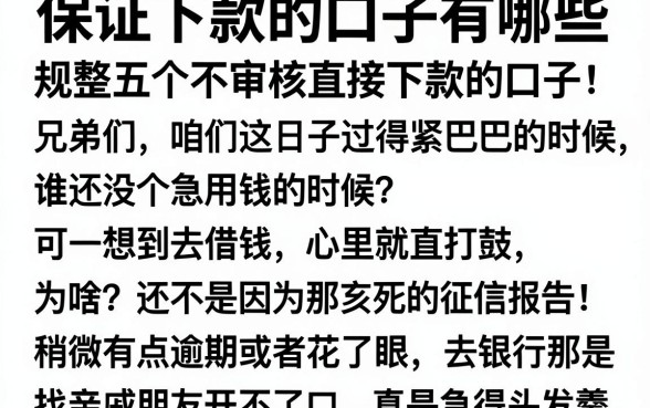 保证下款的口子有哪些，规整五个不审核直接下款的口子