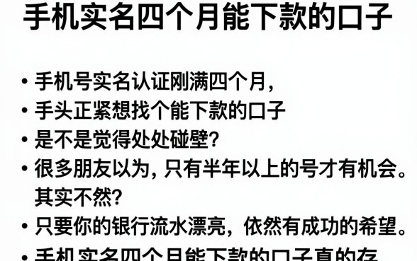 手机实名四个月能下款的口子，理出五个看银行流水的网贷平台