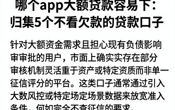 哪个app大额贷款容易下,归集5个不看欠款的贷款口子