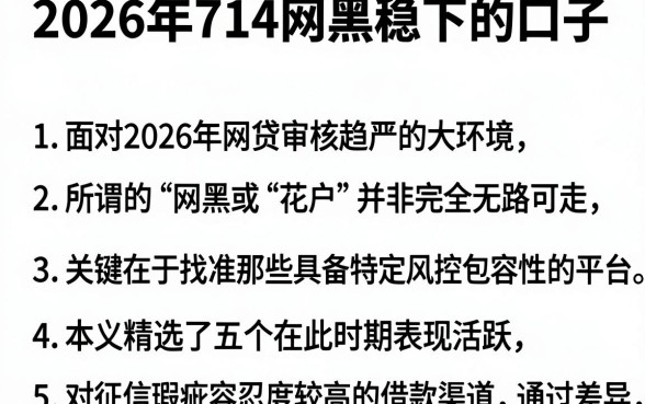 2026年714网黑稳下的口子，罗列5个无视黑白花户的下款口子