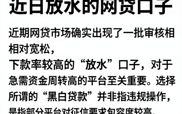 近曰放水的网贷口子,详细阐述5个黑白贷款不是高炮的软件
