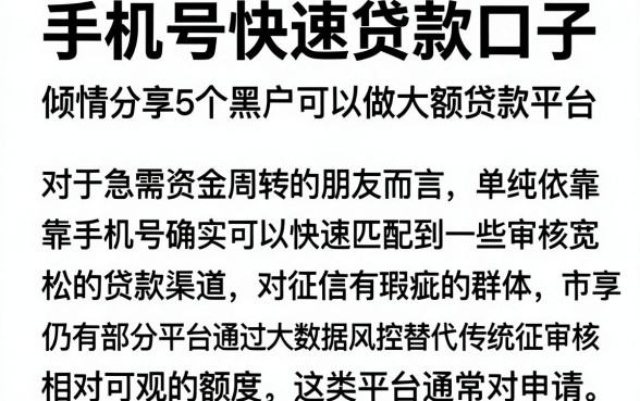 手机号快速贷款口子，倾情分享5个黑户可以做大额贷款平台