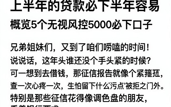 上半年的贷款必下半年容易,概览5个无视风控5000必下口子