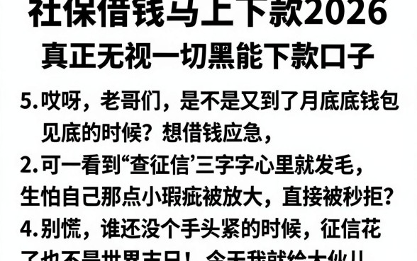 社保借钱马上下款2026,概括5个真正无视一切黑能下款口子