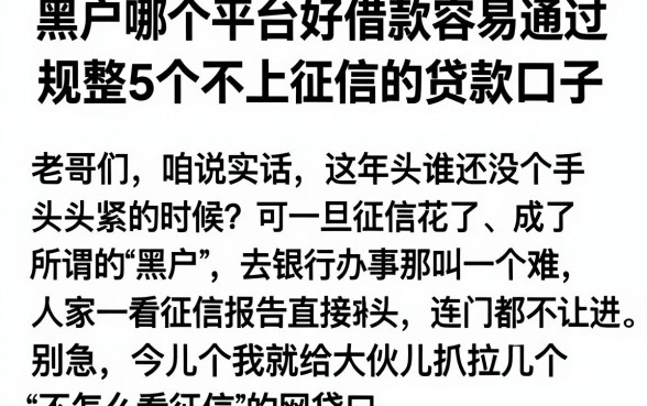 黑户哪个平台好借款容易通过,规整5个不上征信的贷款口子