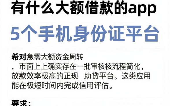 有什么大额借款的app,深入剖析5个手机身份证秒借现金的平台
