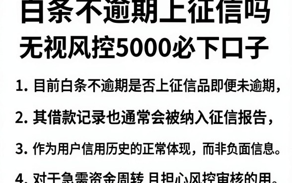 白条不逾期上征信吗,梳理五个无视风控5000必下口子