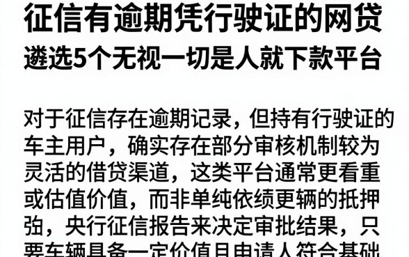征信有逾期凭行驶证的网贷,遴选5个无视一切是人就下款平台