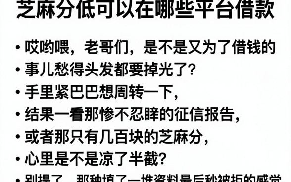 芝麻分低可以在哪些平台借款,理出五个无视黑白户口子