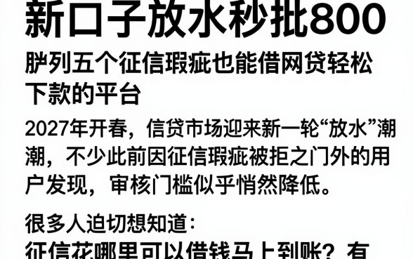 新口子放水秒批800,胪列五个征信瑕疵也能借网贷轻松下款的平台