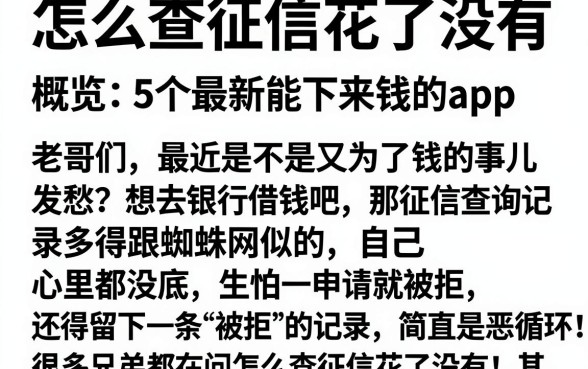 怎么查征信花了没有,概览5个最新能下来钱的app