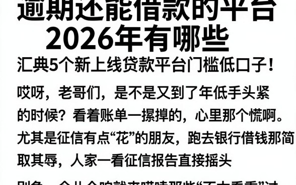 逾期还能借款的平台2026年有哪些,汇总5个新上线贷款平台门槛低口子
