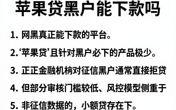 苹果贷黑户能下款吗,条列五个网黑真正能下款的平台
