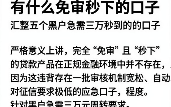 有什么免审秒下的口子，汇整五个黑户急需三万秒到的的口子
