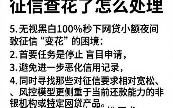 征信查花了怎么处理,细致阐述5个无视黑白100%秒下网贷小额夜间口子