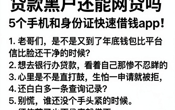 贷款黑户还能网贷吗平台上征信,细致阐述5个手机和身份证快速借钱app
