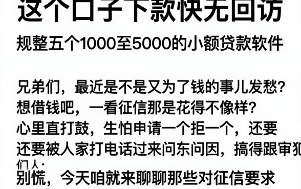 这个口子下款快无回访,规整五个1000至5000的小额贷款软件