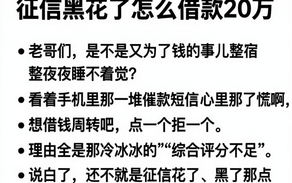 征信黑花了怎么借款20万,条列五个无视黑白户的下款口子