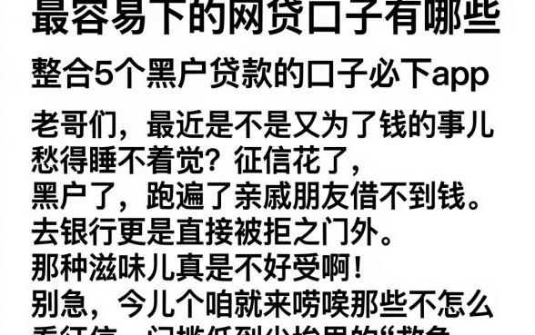 最容易下的网贷口子有哪些，整合5个黑户贷款的口子必下app