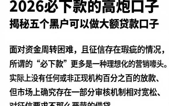 2026必下款的高炮口子，揭秘五个黑户可以做大额贷款口子