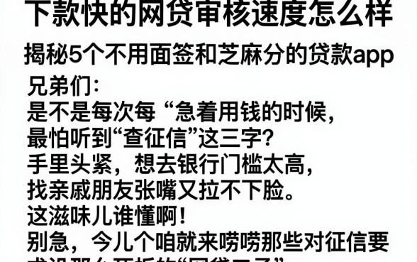 下款快的网贷审核速度怎么样,揭秘5个不用面签和芝麻分的贷款app