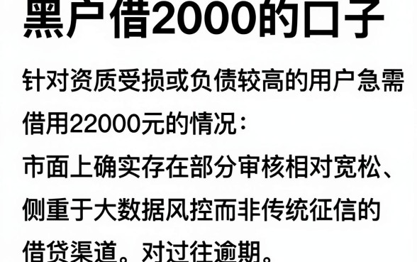 黑户借2000的口子,概览五个无视负债快速下款长期网贷的平台