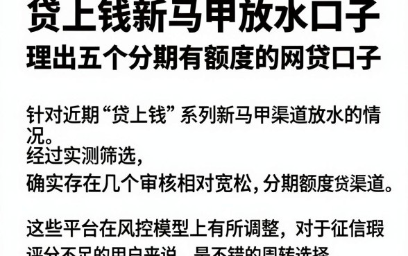 贷上钱新马甲放水口子，理出五个分期有额度的网贷口子