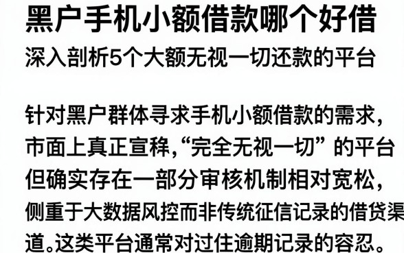 黑户手机小额借款哪个好借,深入剖析5个大额无视一切还款的平台
