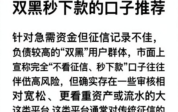 双黑秒下款的口子推荐,概览5个不看负债和征信的app