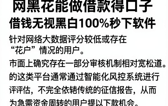 网黑花能做借款得口子,整合五个借钱无视黑白100%秒下软件