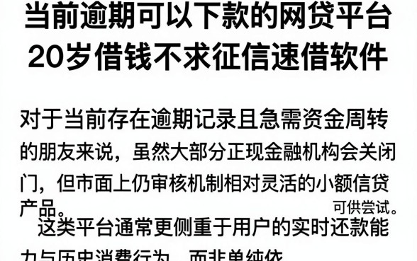 当前逾期可以下款的网贷平台,筛选5个20岁借钱不求征信速借软件
