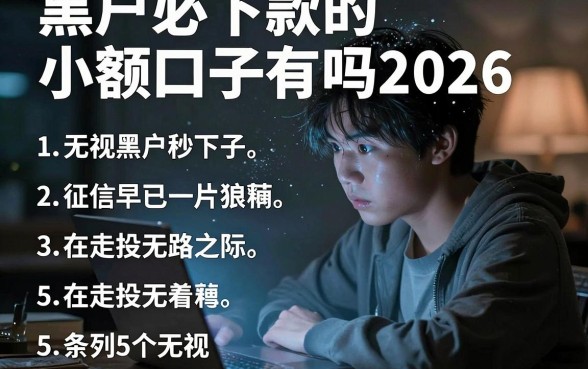黑户必下款的小额口子有吗2026,条列5个无视黑户秒下的口子