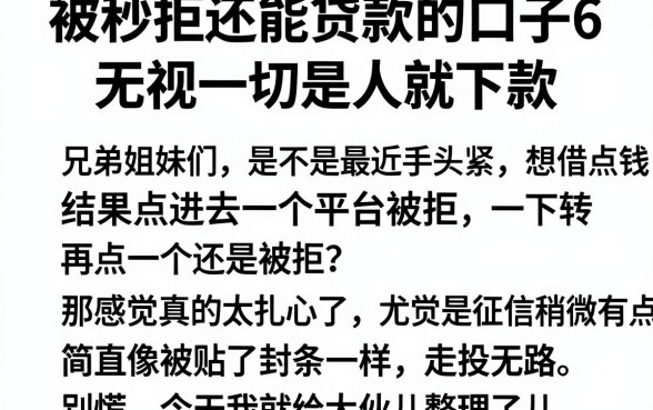 被秒拒还能贷款的口子6,概括五个无视一切是人就下款