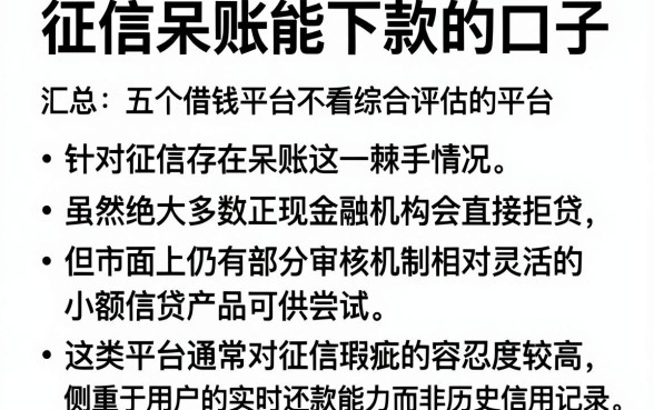 征信呆账能下款的口子，汇总五个借钱平台不看综合评估的平台