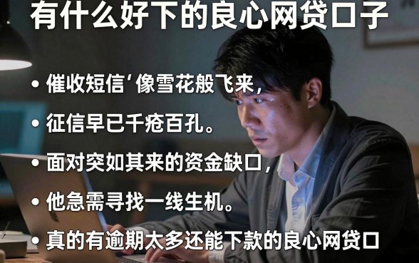 有什么好下的良心网贷口子,条列五个逾期太多能下款平台