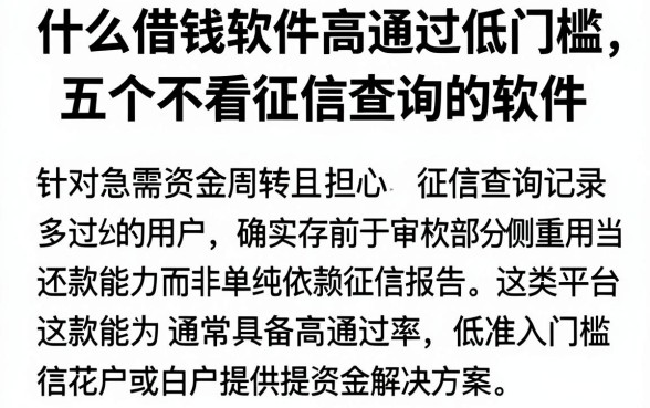 什么借钱软件高通过低门槛,深入剖析五个不看征信查询的软件