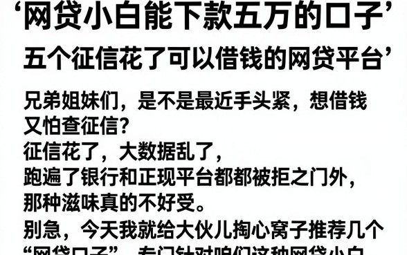 网贷小白能下款五万的口子,深入剖析五个征信花了可以借钱的网贷平台