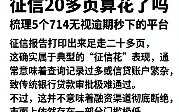 征信20多页算花了吗,梳理5个714无视逾期秒下的平台