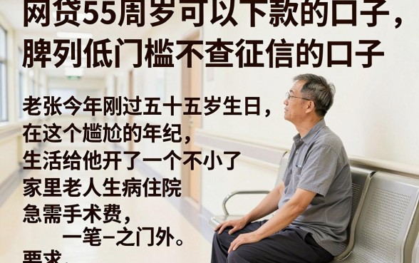 网贷55周岁可以下款的口子,胪列5个低门槛不查征信的口子