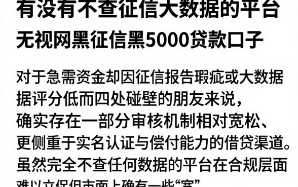 有没有不查征信大数据的平台,概览五个无视网黑征信黑5000贷款口子