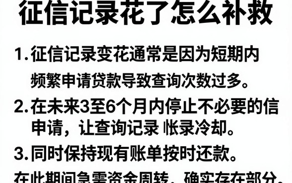 征信记录花了怎么补救，精选5个无视负债快速下款长期网贷的软件